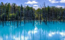 blue-pond