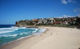 bondi