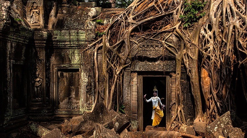 Lạc lối ở đền cổ Ta Prohm cực kì độc đáo - ảnh 1