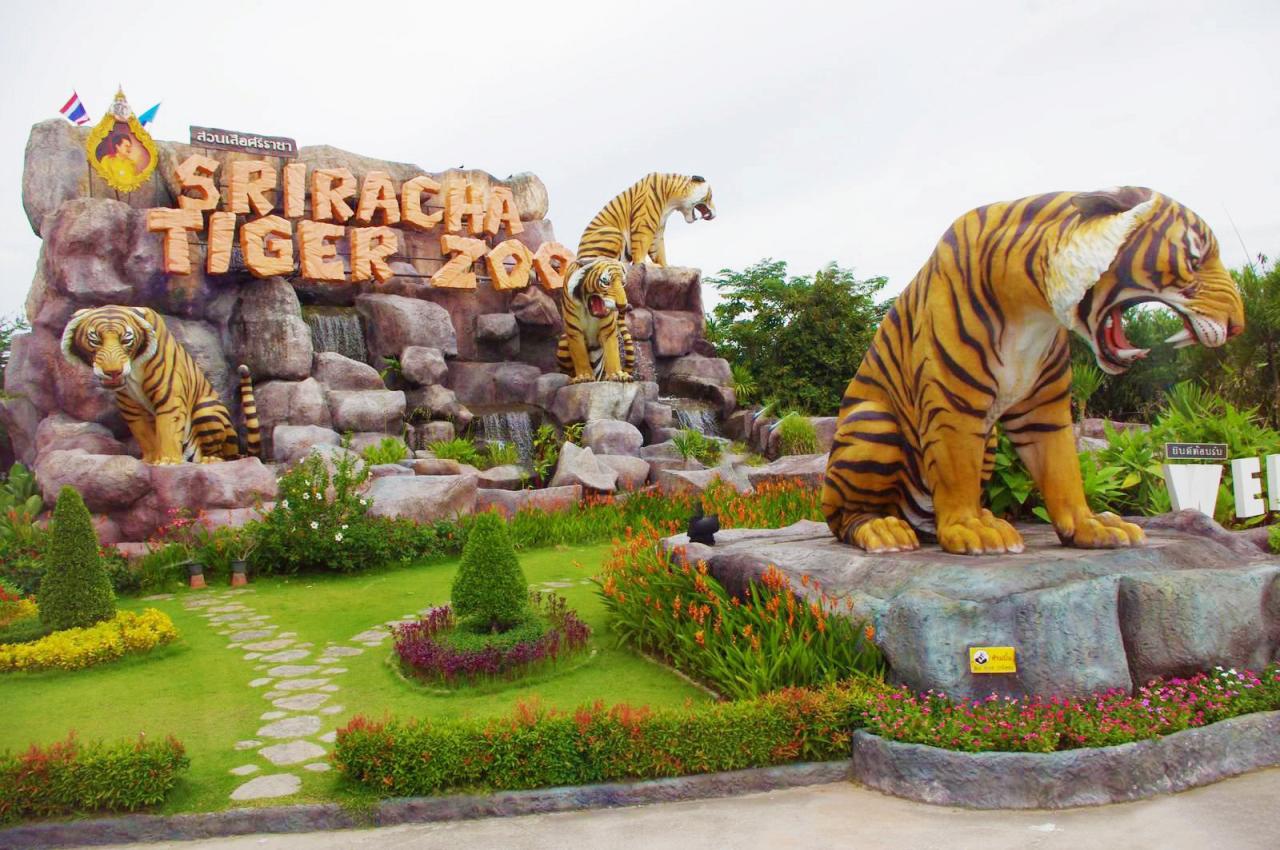 Du lịch Thái Lan – chuyến đi khám phá công viên Sriracha Tiger Zoo - ảnh 1