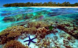 Rạn san hô Great Barrier Reef