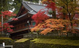 Mùa lá đỏ tuyệt vời tại Nikko