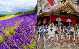 Ngắm hoa và tham gia lễ hội