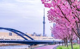 Tòa tháp Tokyo Skytree